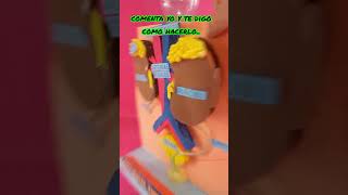 Maqueta de sistema urinario /excretor