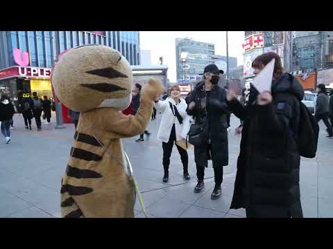 JHKTV] 신촌 명물고양이 춤신동 웨이브춤 shin chon special cat <strong>Dance</strong> prodigy <strong>wave</strong> <strong>dance</strong>.