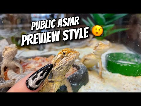 Public ASMR🦎Preview Style Tingles🦎 Fast Tapping + Camera Taps & MORE! ✨Lofi✨