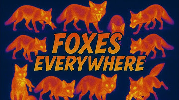 Thermal fox shoot | NOCPIX ACE H50r