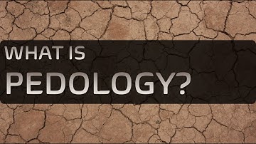 What is Soil Science? ※ What is Pedology? ※ What do Pedologists do?