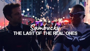 Sam & Bucky-The Last of the Real Ones