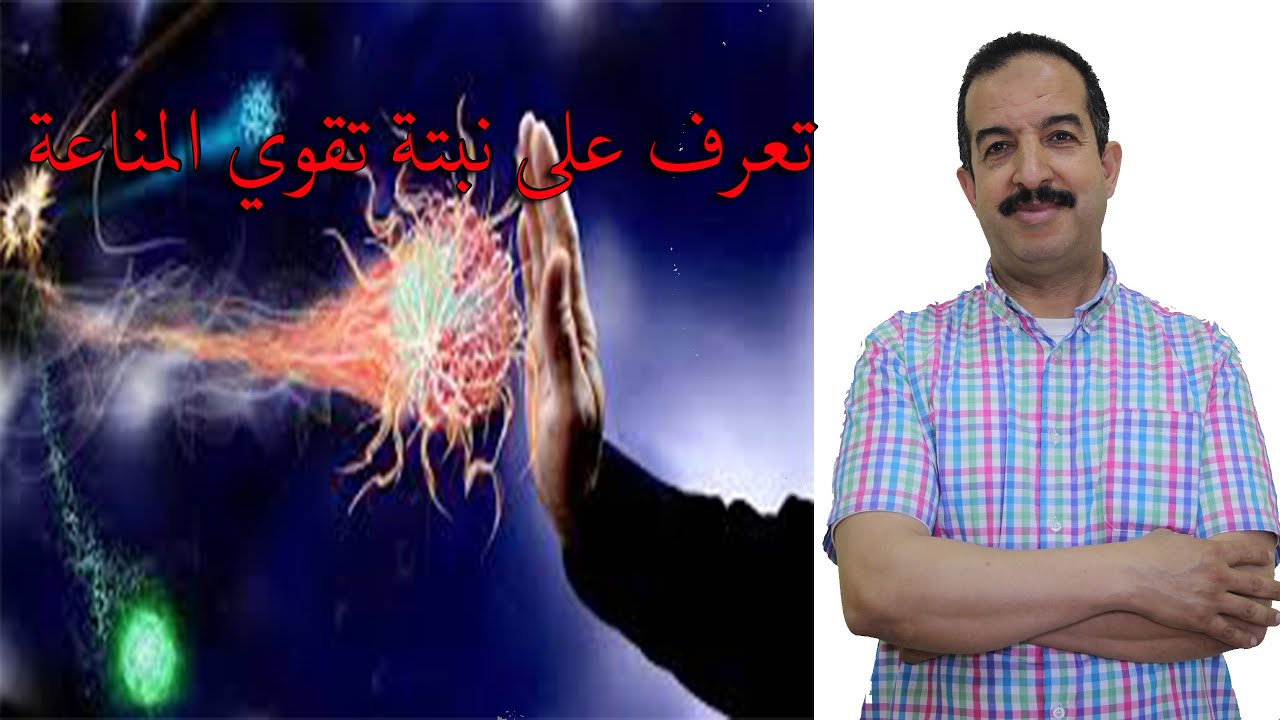 هذه النبتة ستفيدك في تقوية مناعة الجسم