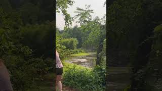 Sockibomb General Forehand Flex Distance