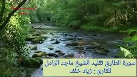 سورة الطارق تقليد الشيخ ماجد الزامل