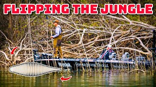This is Where the GIANTS Live - Lake Waco Knockout Round (TrimmedUp S4E13)