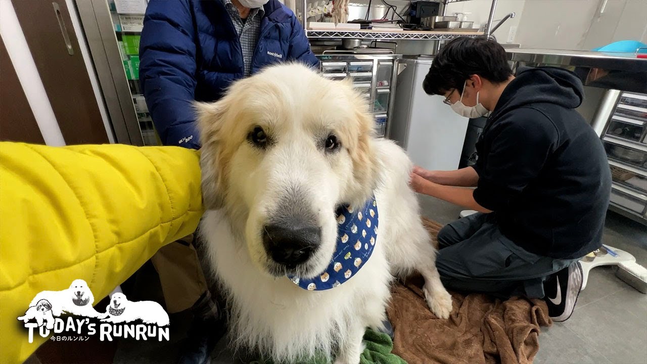 Alan realizes that it's almost time for his injection and quickly
