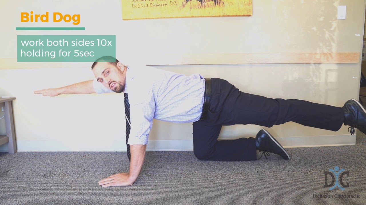 Bird Dog Exercise for Spine Stabilization by Castle Rock's Chiropractor Dr. Clint Dickason