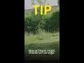 Tip