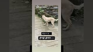 #사람은#3년도않걸린다지? #진품명품 #show