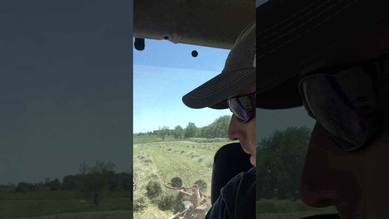 Hay season 2017 has begun