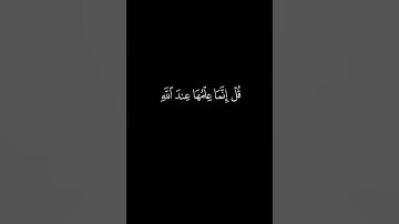#قران_كريم #اسلام_صبحي #شاشه_سوداء #سورة_الأحزاب #استغفر_الله #اللهم_صل_وسلم_على_نبينا_محمد