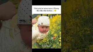 This Might Be the Cutest Honey Bee Ever 🐝👶 #cutebaby #honeybee #naturelovers #beelife