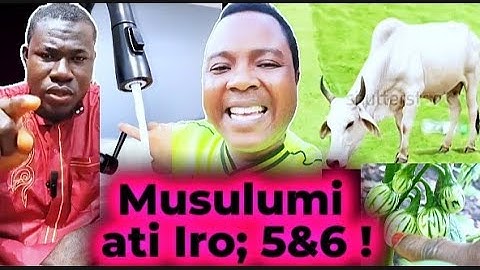 Asiri tu; idi re ti Musulumi fi gbodo puro lati pon Anobi Muhammad le !!!