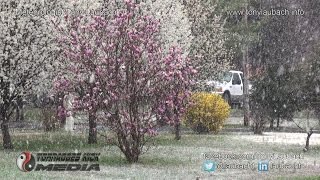 03/20/2016 Marion/Carterville, IL - First Day of Spring Snows 03/20/2016 Marion/Carterville, IL - First Day of Spring Snows