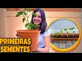 Plantamos as primeiras sementes na minha hortinha e quase deu ruim!