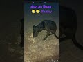 औरत का दिमाग़..😂😂 #funny # comedy #comedian #shorts