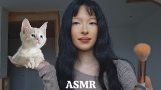 ASMR 10 Facts About Cats 🐈 |Face Brushing |Rain At 3:59 😴 Lo-fi