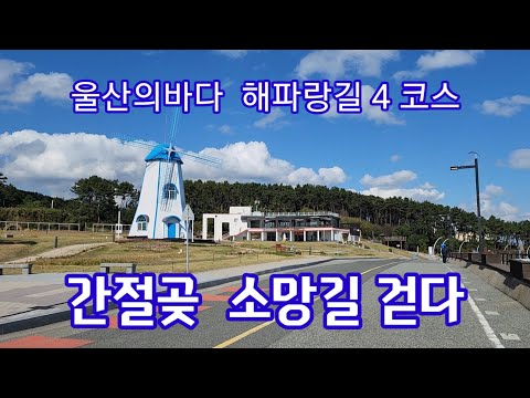 #간절곳  #소망길  걷기 좋은길 #해파랑길 4 코스  #진하해수욕장