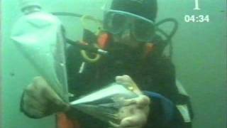 Pressure Underwater.wmv