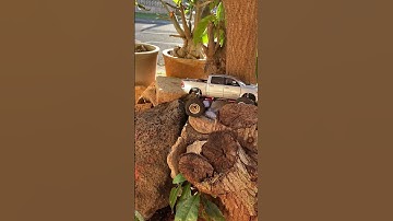 Throwback metal body build 👊🏽#axial #scx24 #moforc #dodge #ram #furitek #hotracing #nsdrc #injora