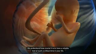 Introduction to Pregnancy Tests