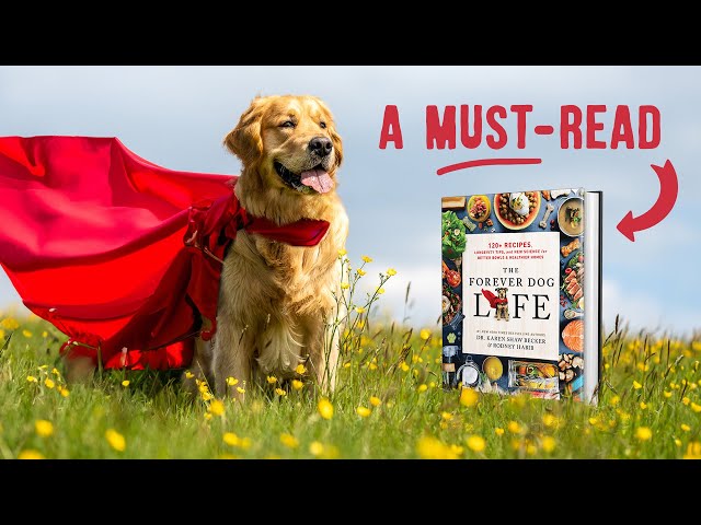 Is Forever Dog Life Book Worth The Hype? - YouTube