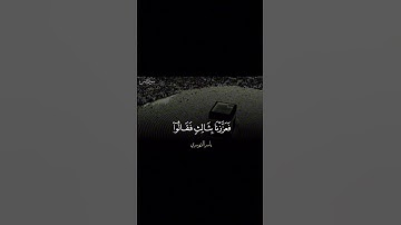 آيات من سورة يس القارئ الشيخ ياسر الدوسري