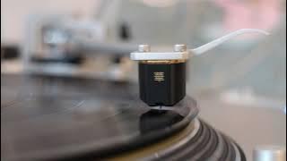 Bee Gees - Nights On Broadway (1975 Vinyl LP) - Technics 1200G / Hana MH