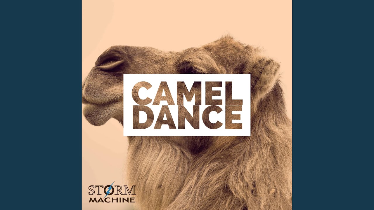Watch Camel Dance on YouTube Watch Camel Dance on YouTube