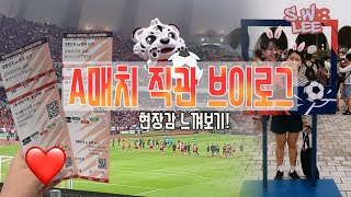 대한민국🇰🇷 VS 호주🇦🇺 A매치 직관 브이로그VLOG |짧게,,현장감 느껴보기🐽| [달희로그#7]