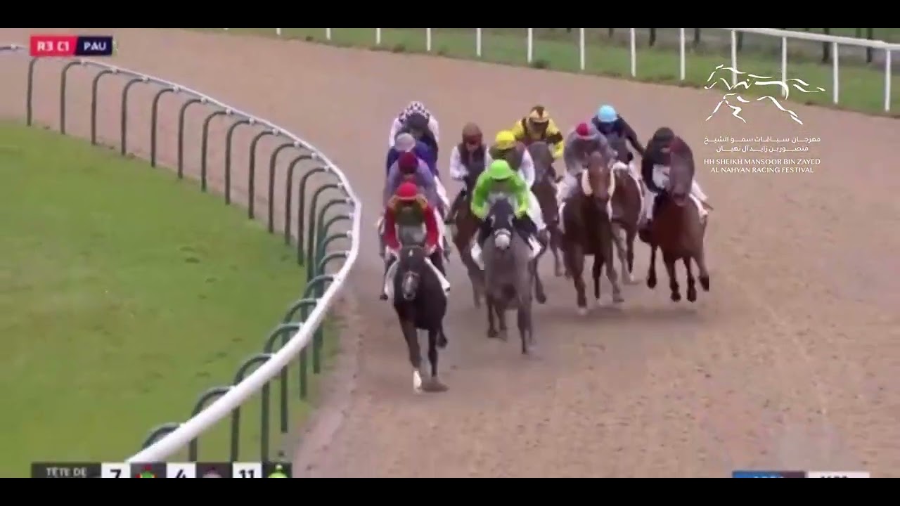 DCT ABU DHABI CUP - SHEIKH MANSOOR FESTIVAL - PAU RACECOURSE | 13/12/2023