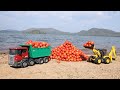 JCB Loading Tomato Truck | Bruder Tractor | Sutli Bomb Vs Tomato | Tata Truck | CS Toy