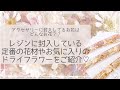 アクセサリーの中のお花はどんなお花！？いちおしのドライフラワーをご紹介します♡