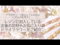 アクセサリーの中のお花はどんなお花！？いちおしのドライフラワーをご紹介します♡