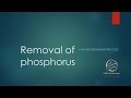Removal of phosphorus A waste water treatment process