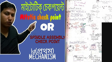 MITOTIC CHECK POINT/MITOTIC SPINDLE ASSEMBLY CHECK POINT- 1ST MECHANISM