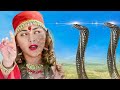 सपेरे का अंत करने के लिए नागिन ने सुन्दर लड़की का रूप लिया @laxaminarayan-japtapvratt7537