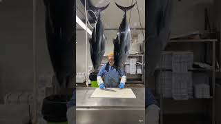 WHAT JUST HAPPEN? #tuna_fish_cutting #tunafish #funyshorts #shorts #fishmonger #fishstory #workfun
