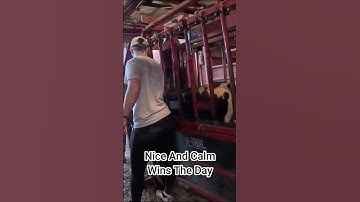 Calm Calves Are Healthy Calves - Smiling Bovine Ranch