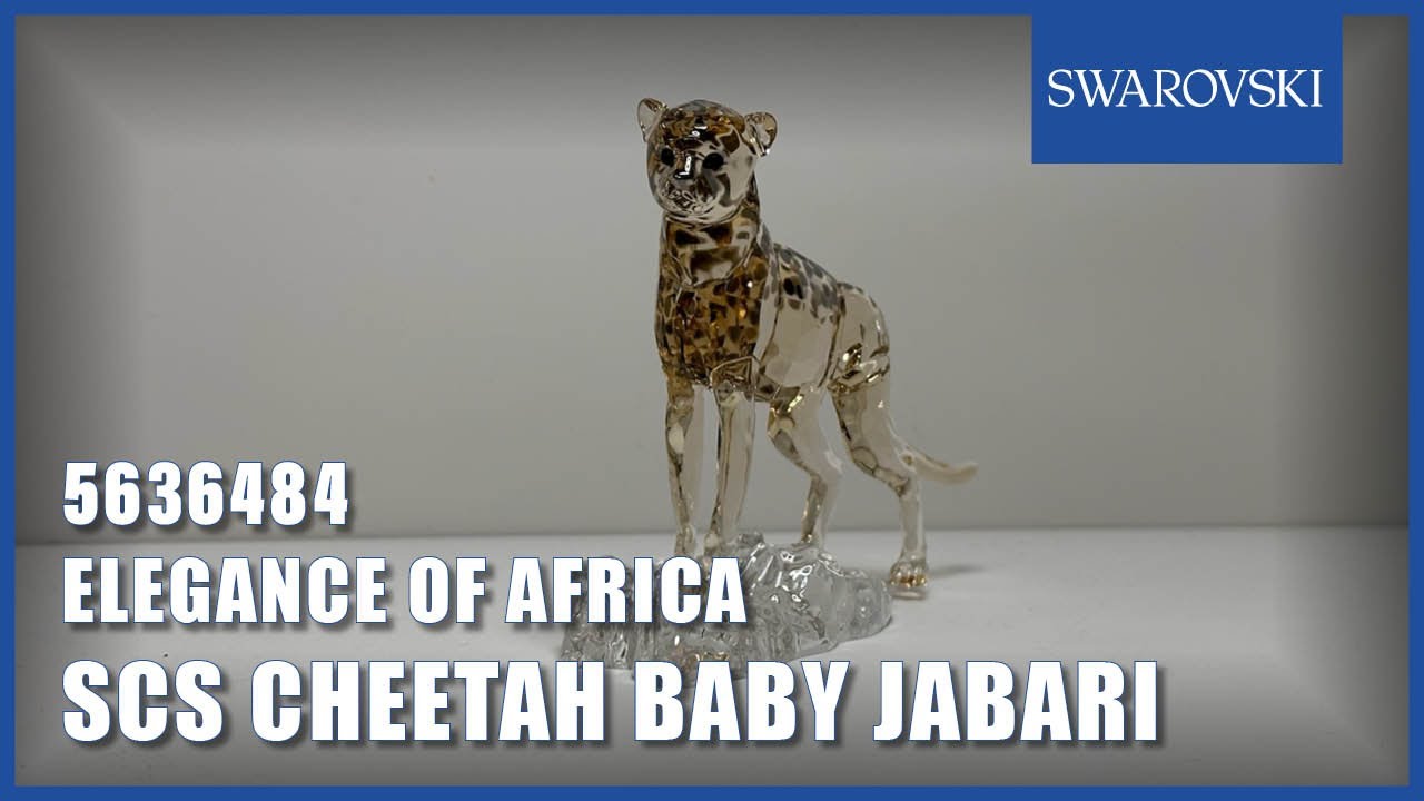 Unboxing Swarovski SCS Cheetah Baby Jabari 5636484 - YouTube