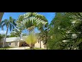 Vacation Snapshots... Caribbean style reggae influence music