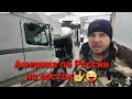 VOLVO VNL Первый рейс на восток Магистральный #volvo #cummins дальнобой