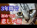 【涙目】エマメお姉ちゃん…僕を嫌いになったの?