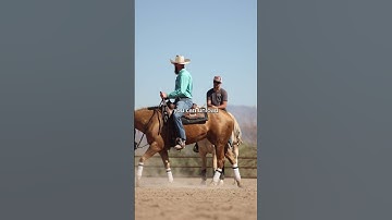 I gotta be sharp.....you know what I mean? #reining #reiningmasterclass #reininghorsesofinstagram