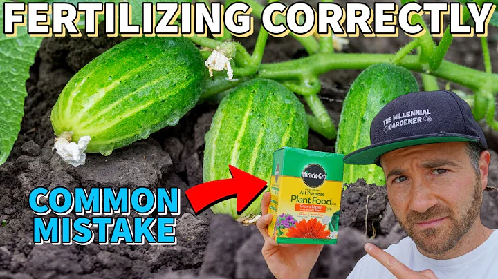 This Common Fertilizer Mistake Is RUINING Your Garden's Productivity! - DayDayNews