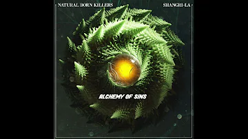 Natural Born Killers -  Funk You (Original Mix) Feat. Shangri-La