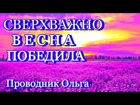СВЕРХВАЖНО ВЕСНА ПОБЕДИЛА ⚡️@novoe_probujdene_chelovchestva