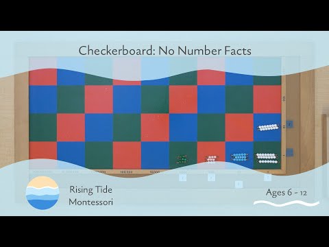 Checkerboard: No Number Facts