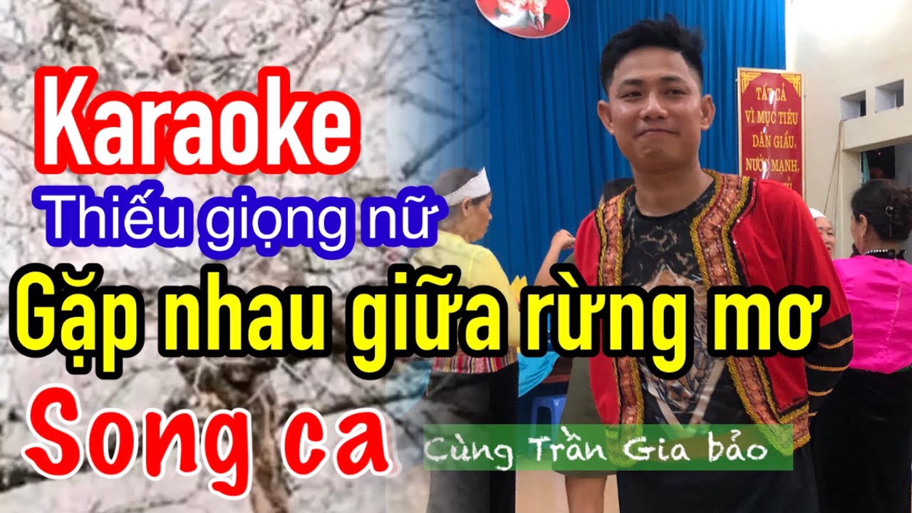 Karaoke GẶP NHAU GIỮA RỪNG MƠ .thiếu giọng nữ - SONG CA cùng Trần Gia bảo.